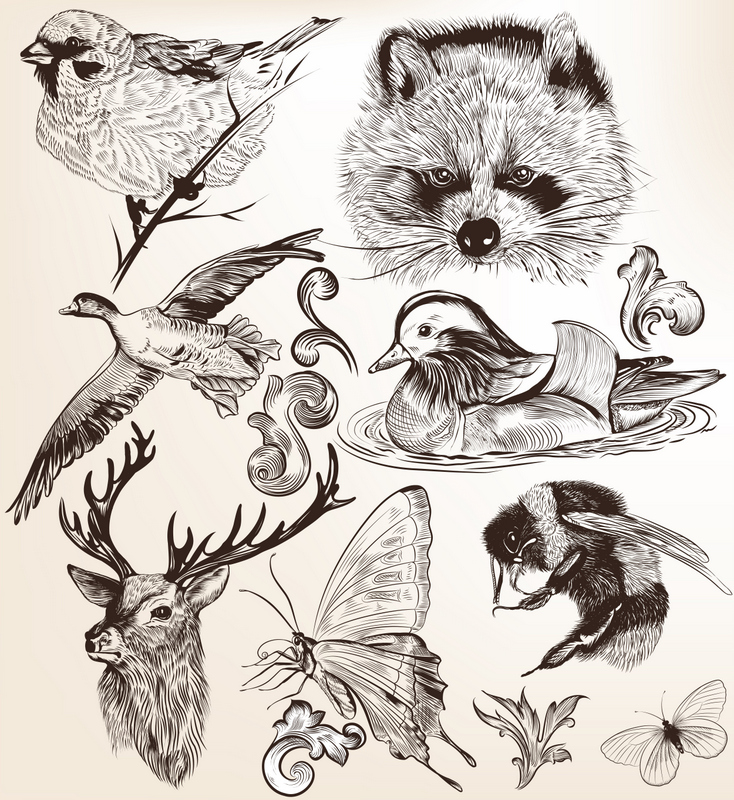 DRAWING ANIMALS | Sept 6 – Oct 4 – Willow Oak Center for Arts & Learning