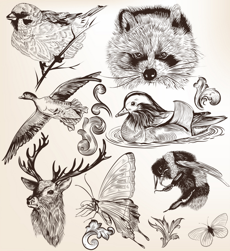DRAWING ANIMALS | Sept 6 – Oct 4 – Willow Oak Center for Arts & Learning DRAWING ANIMALS | Sept 6 – Oct 4 – Willow Oak Center for Arts & Learning